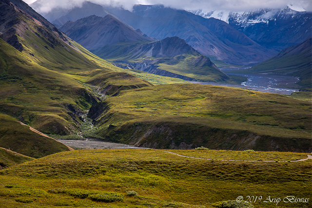 Alaskan Landscape, Denali NP