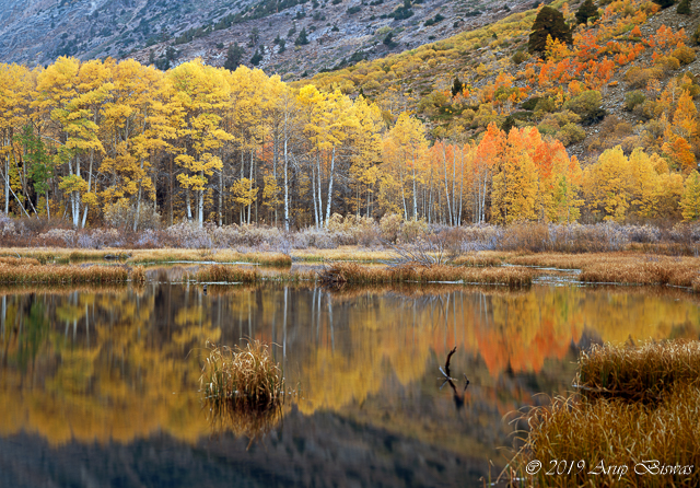 Autumn Sonata, Eastern Sierras