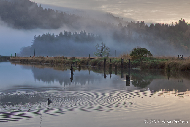 Dawn on Coquille River