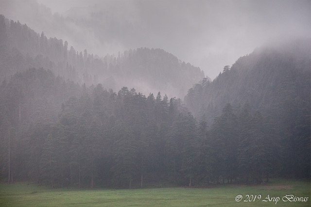 Evening Melody, Khajiar, Himalayas