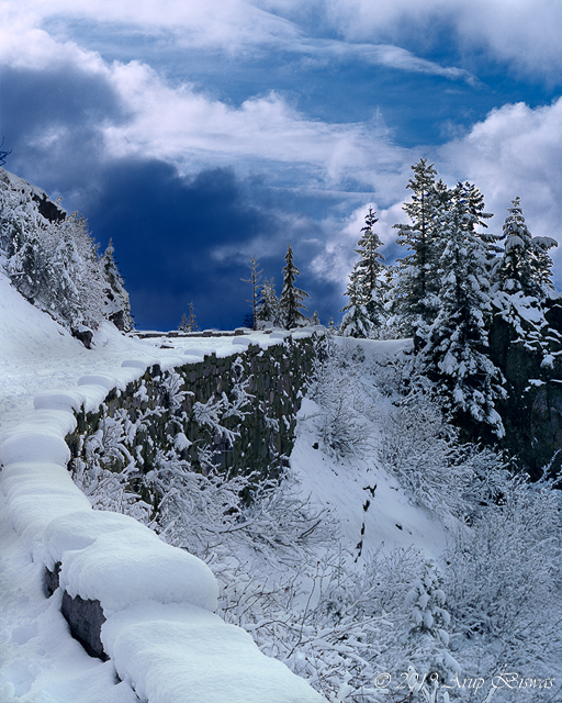 Near Paradise, Mt. Rainier NP