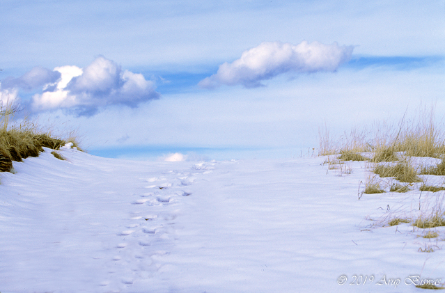 Winter Poetry, Colorado