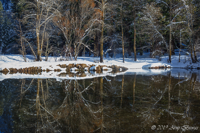 Winter Rhapsody